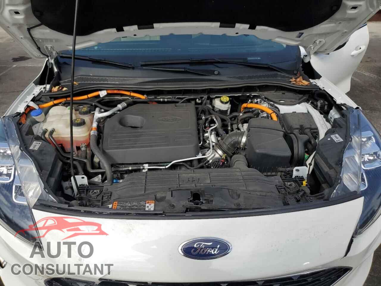 FORD ESCAPE 2020 - 1FMCU0DZ2LUA11343