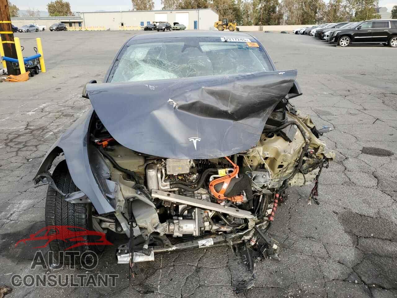 TESLA MODEL Y 2023 - 7SAYGDEFXPF813749