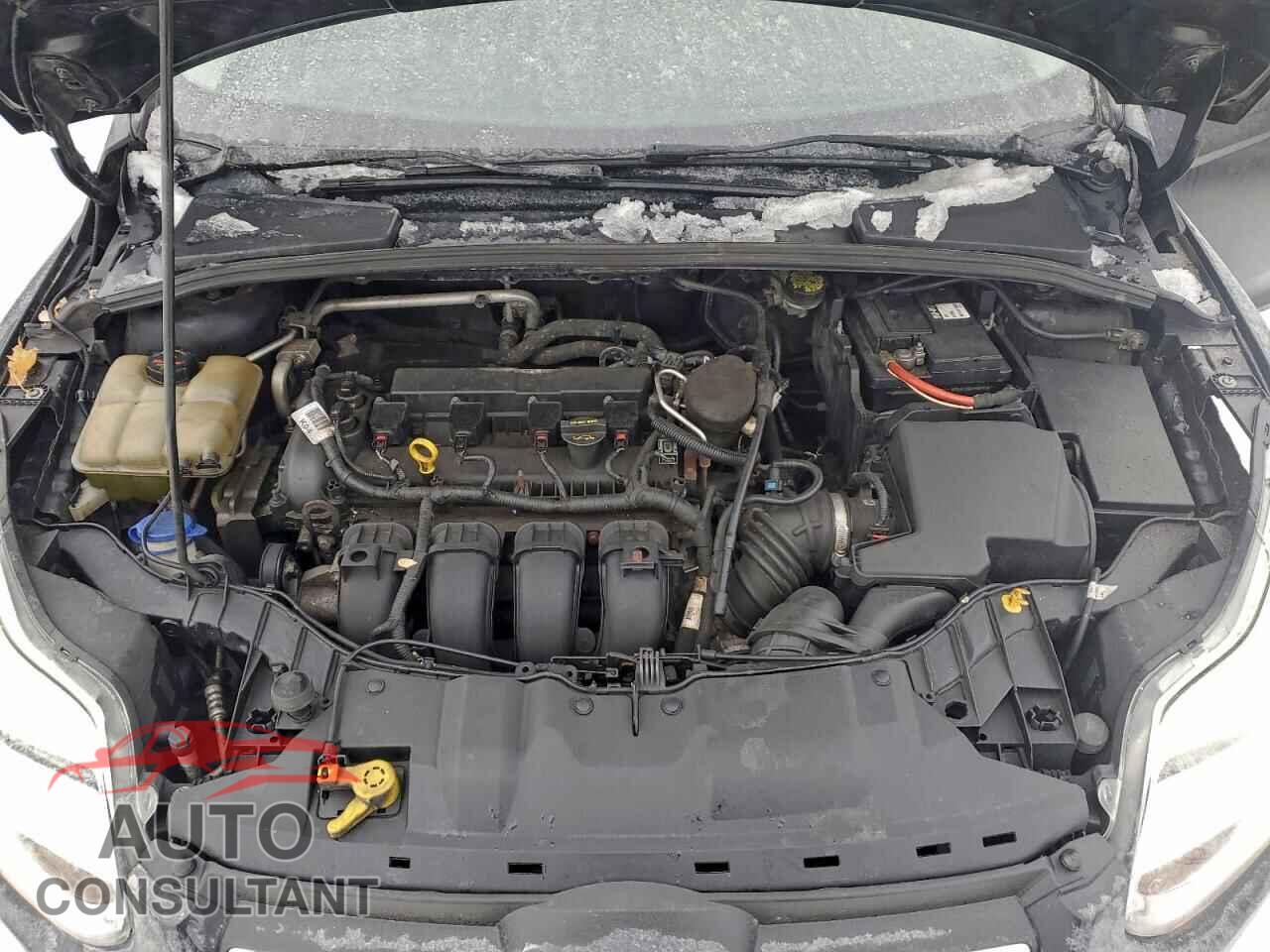 FORD FOCUS 2014 - 1FADP3F2XEL352103