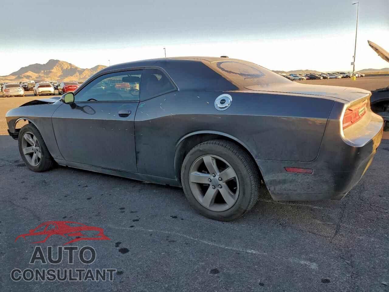 DODGE CHALLENGER 2014 - 2C3CDYAG6EH298413