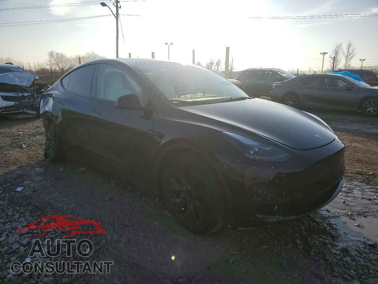 TESLA MODEL Y 2024 - 7SAYGDED2RF204690