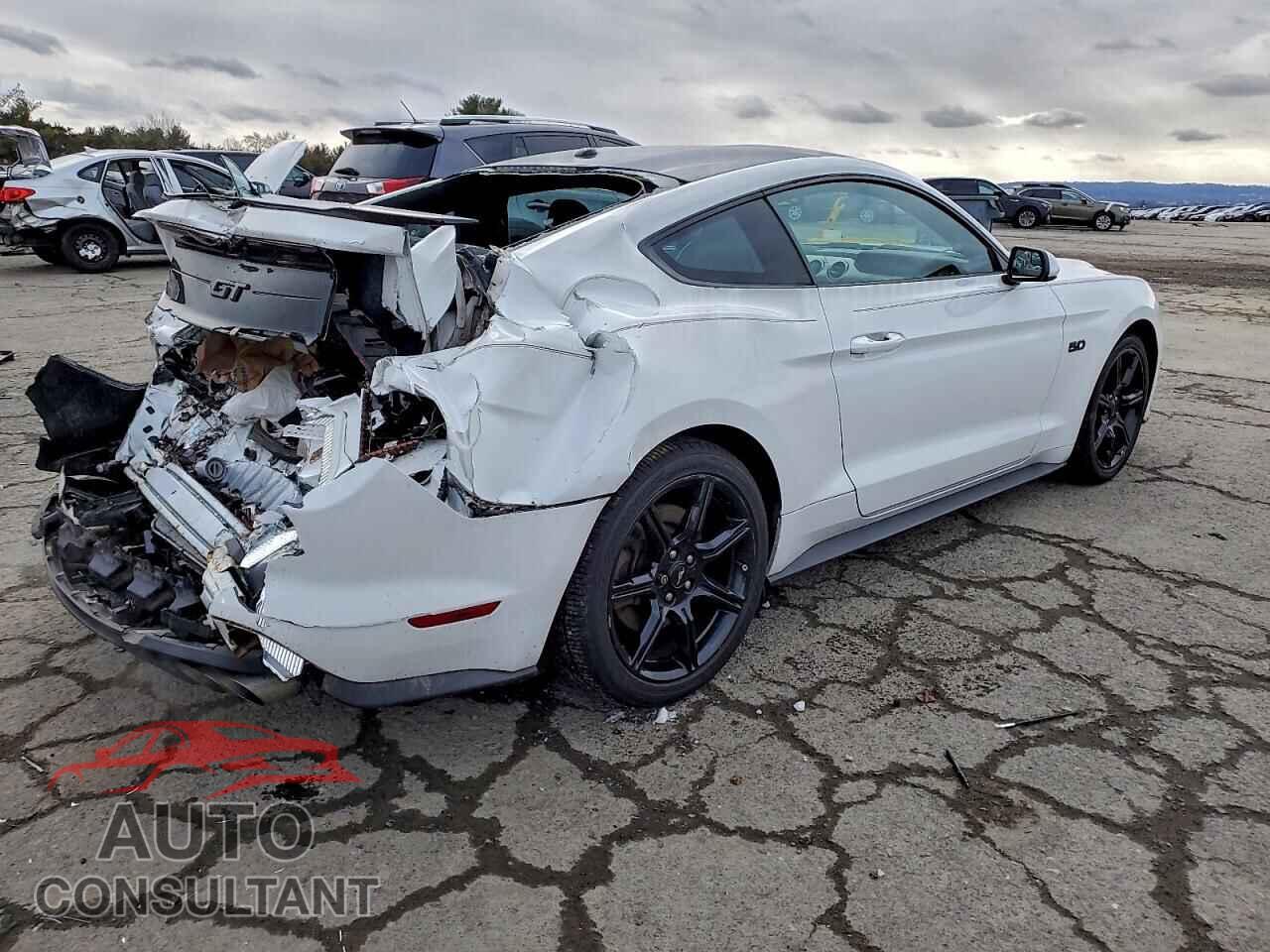FORD MUSTANG 2019 - 1FA6P8CF7K5166032
