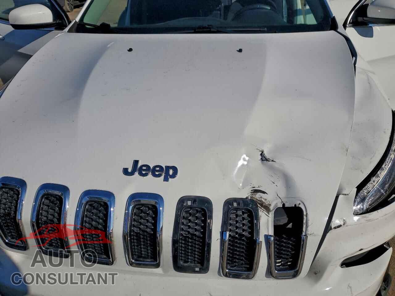 JEEP GRAND CHER 2017 - 1C4PJLCS1HW662088
