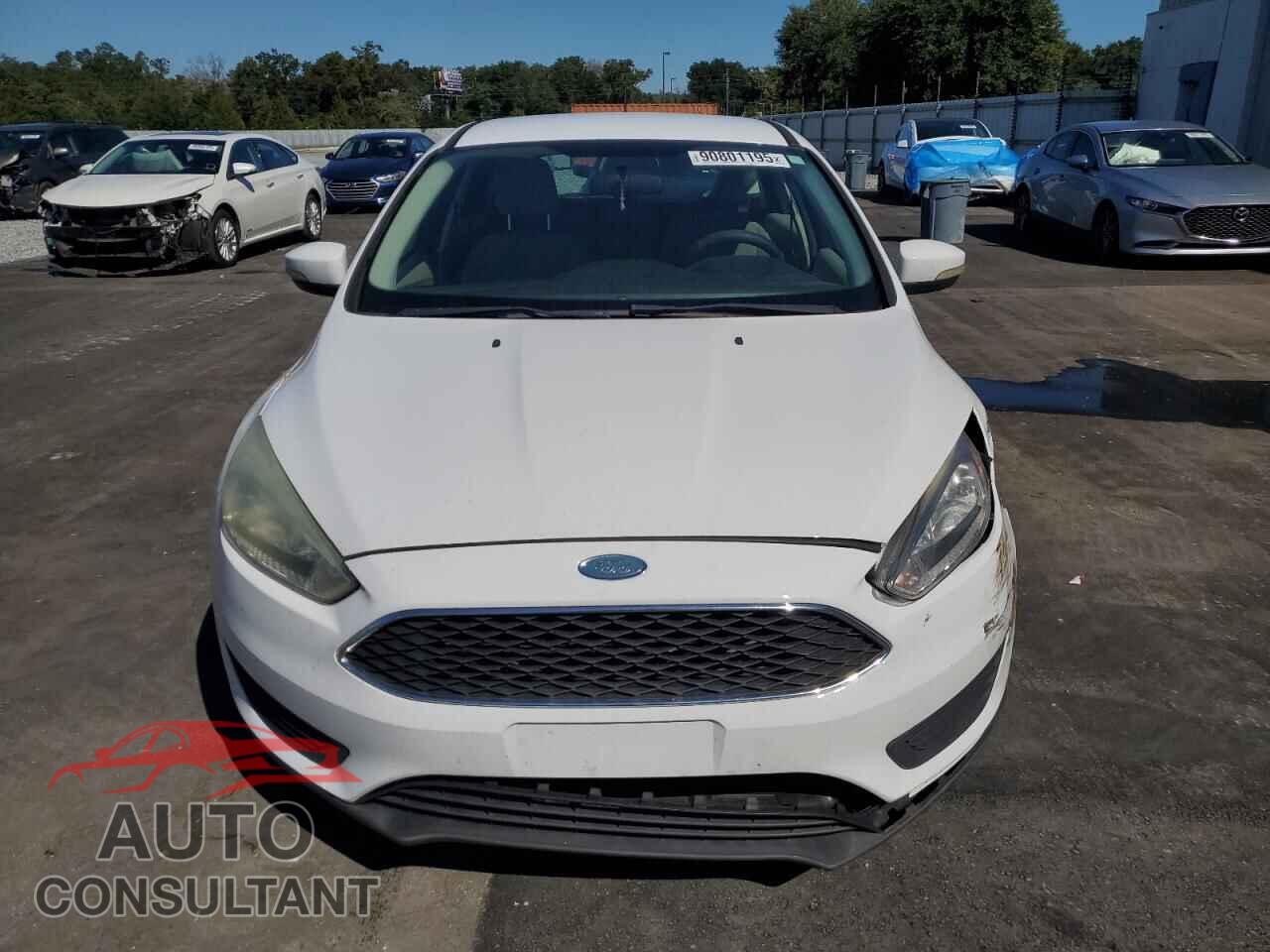 FORD FOCUS 2016 - 1FADP3K28GL356465