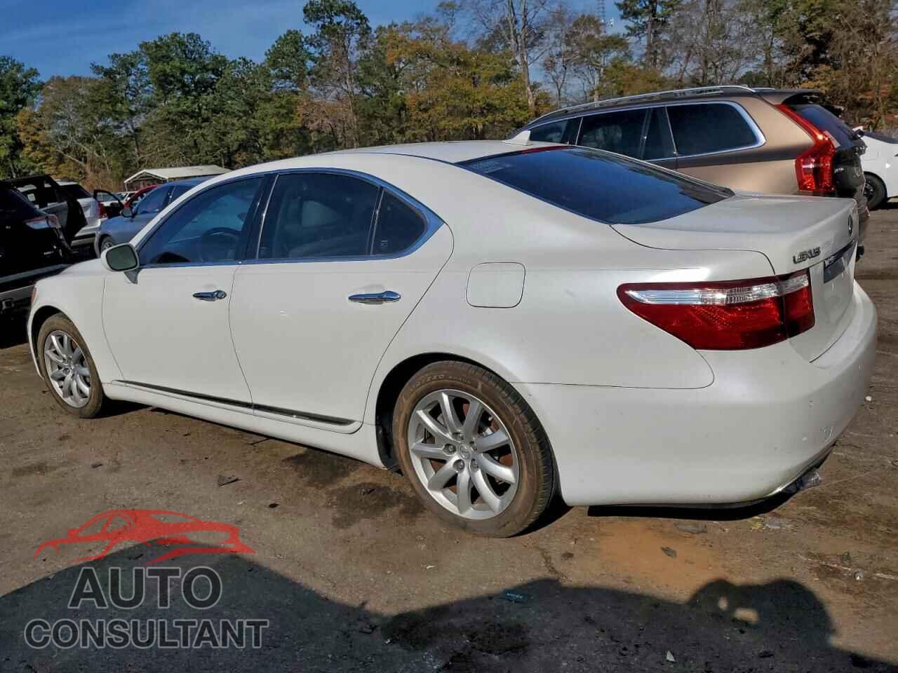 LEXUS LS460 2009 - JTHBL46F795089874