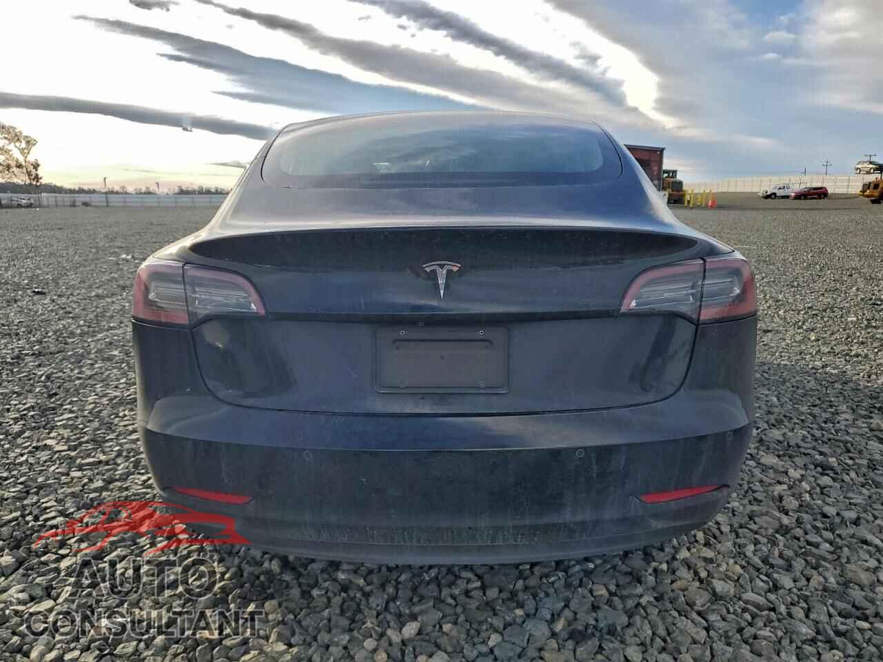 TESLA MODEL 3 2020 - 5YJ3E1EA9LF613553