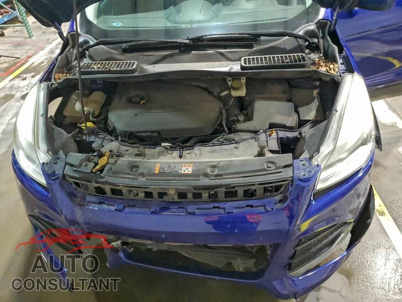 FORD ESCAPE 2014 - 1FMCU9GX4EUD01116