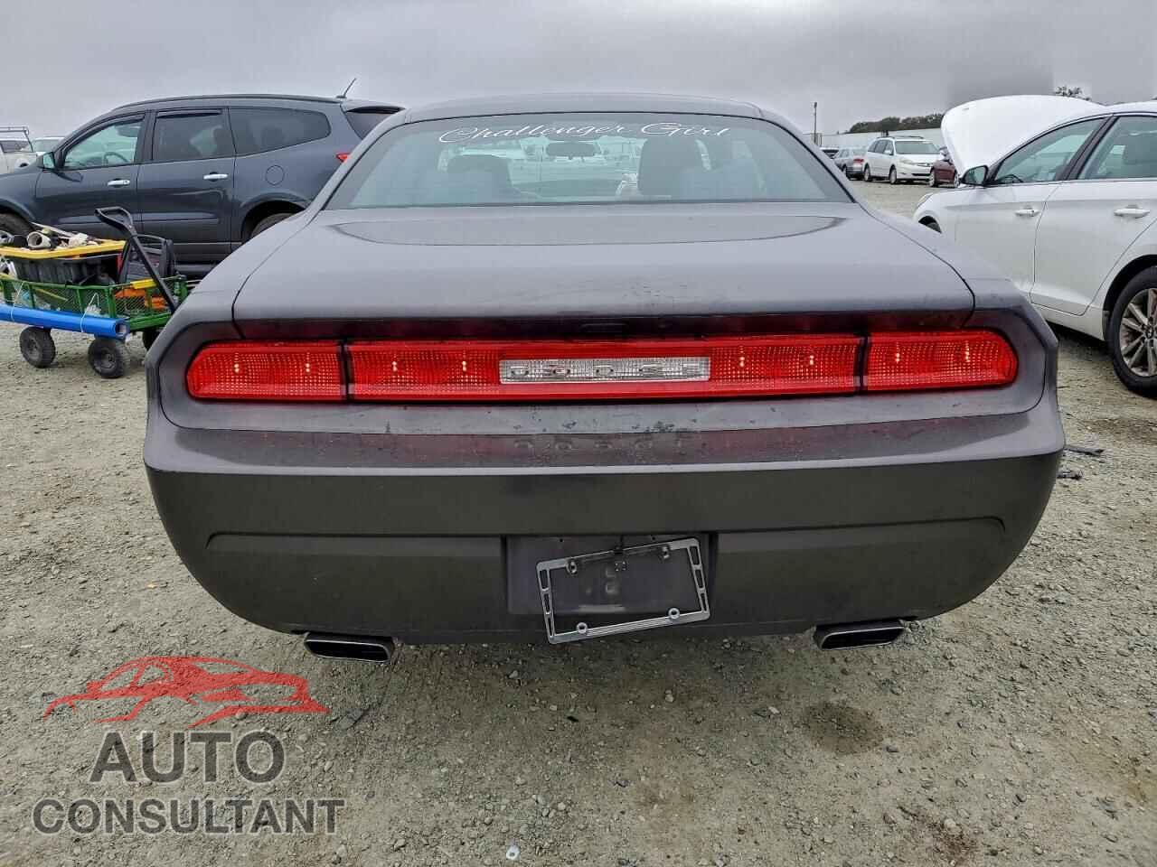 DODGE CHALLENGER 2014 - 2C3CDYAG4EH256208