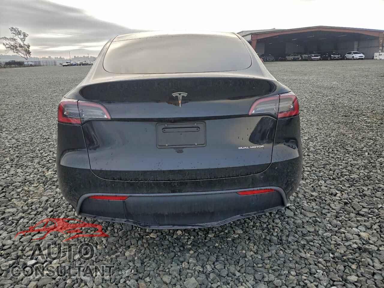 TESLA MODEL Y 2024 - 7SAYGDEE2RF163745