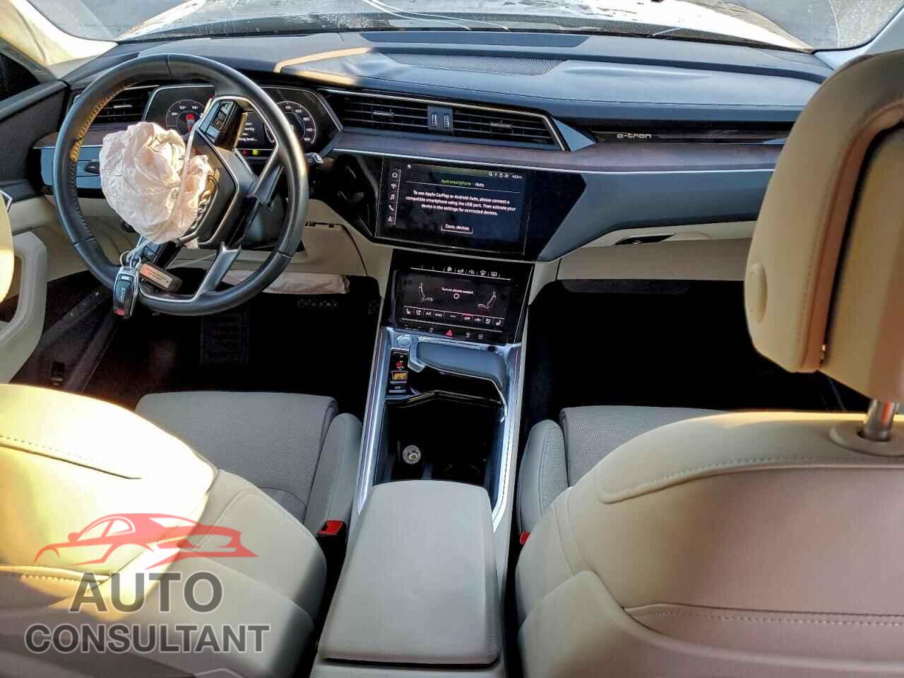 AUDI E-TRON 2019 - WA1VABGE0KB014675