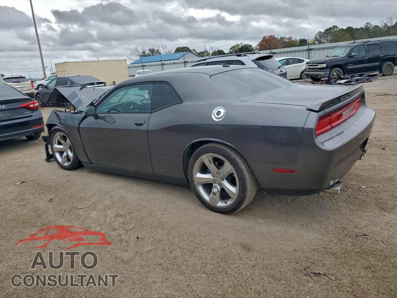 DODGE CHALLENGER 2013 - 2C3CDYBT8DH683496