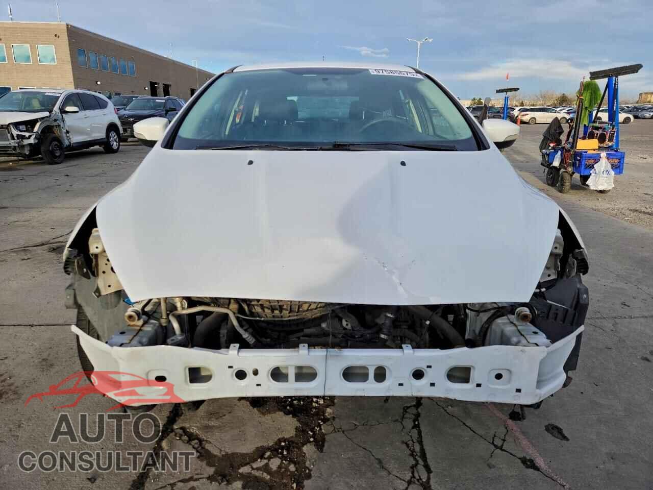FORD FOCUS 2016 - 1FADP3K29GL331686
