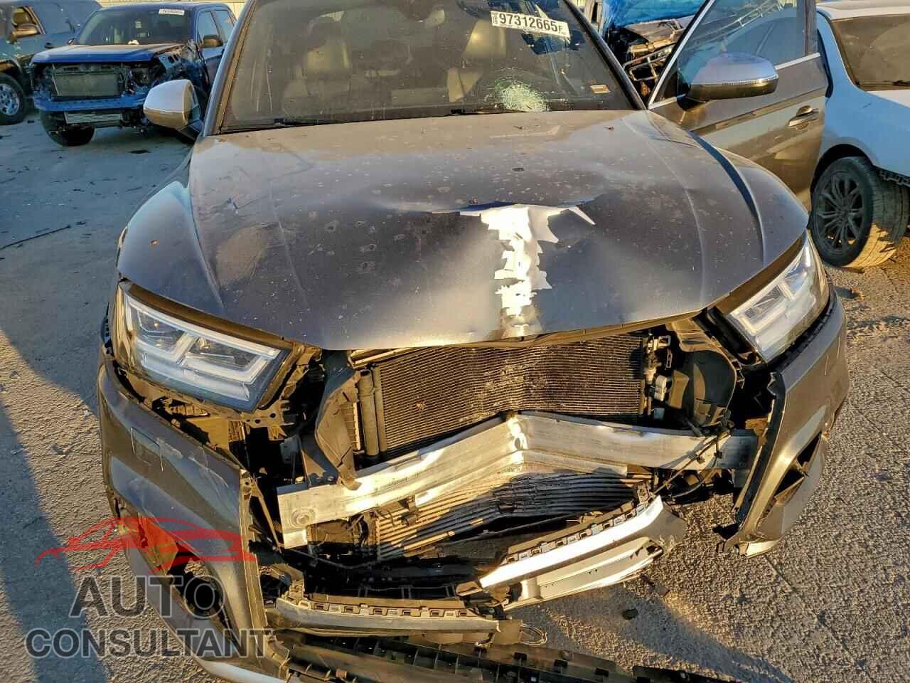 AUDI SQ5 2019 - WA1C4AFY2K2009157