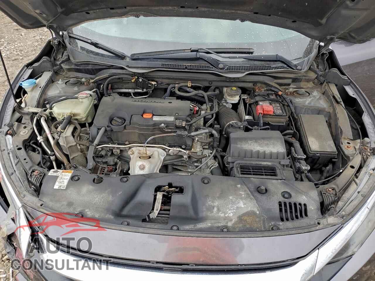 HONDA CIVIC 2017 - 2HGFC2F77HH556056