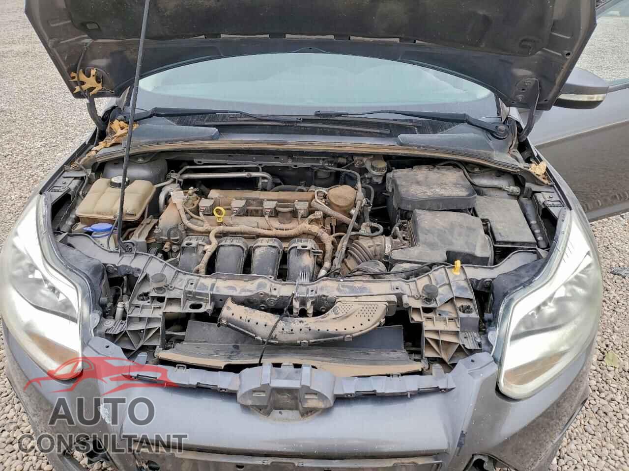 FORD FOCUS 2014 - 1FADP3F29EL287633