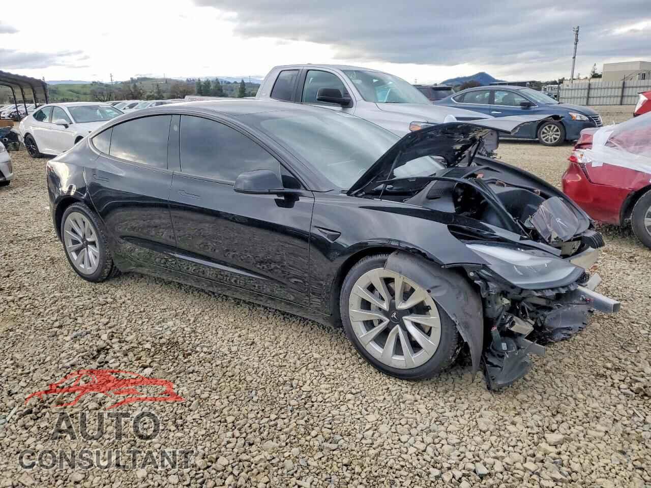 TESLA MODEL 3 2021 - 5YJ3E1EB8MF998825