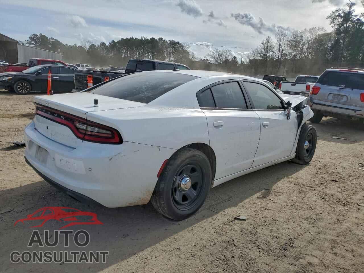 DODGE CHARGER 2019 - 2C3CDXAT2KH538558