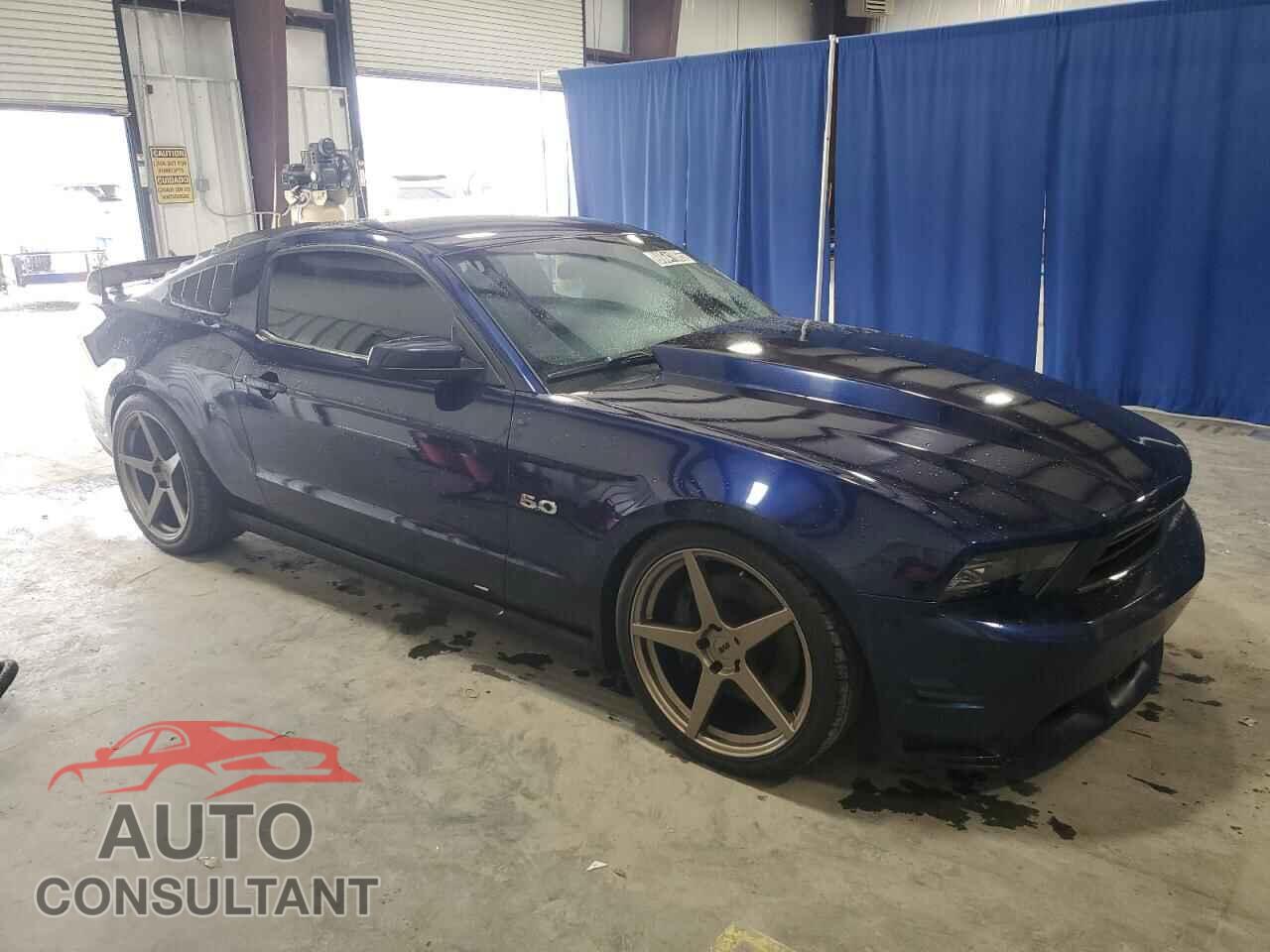 FORD MUSTANG 2011 - 1ZVBP8CF5B5124433