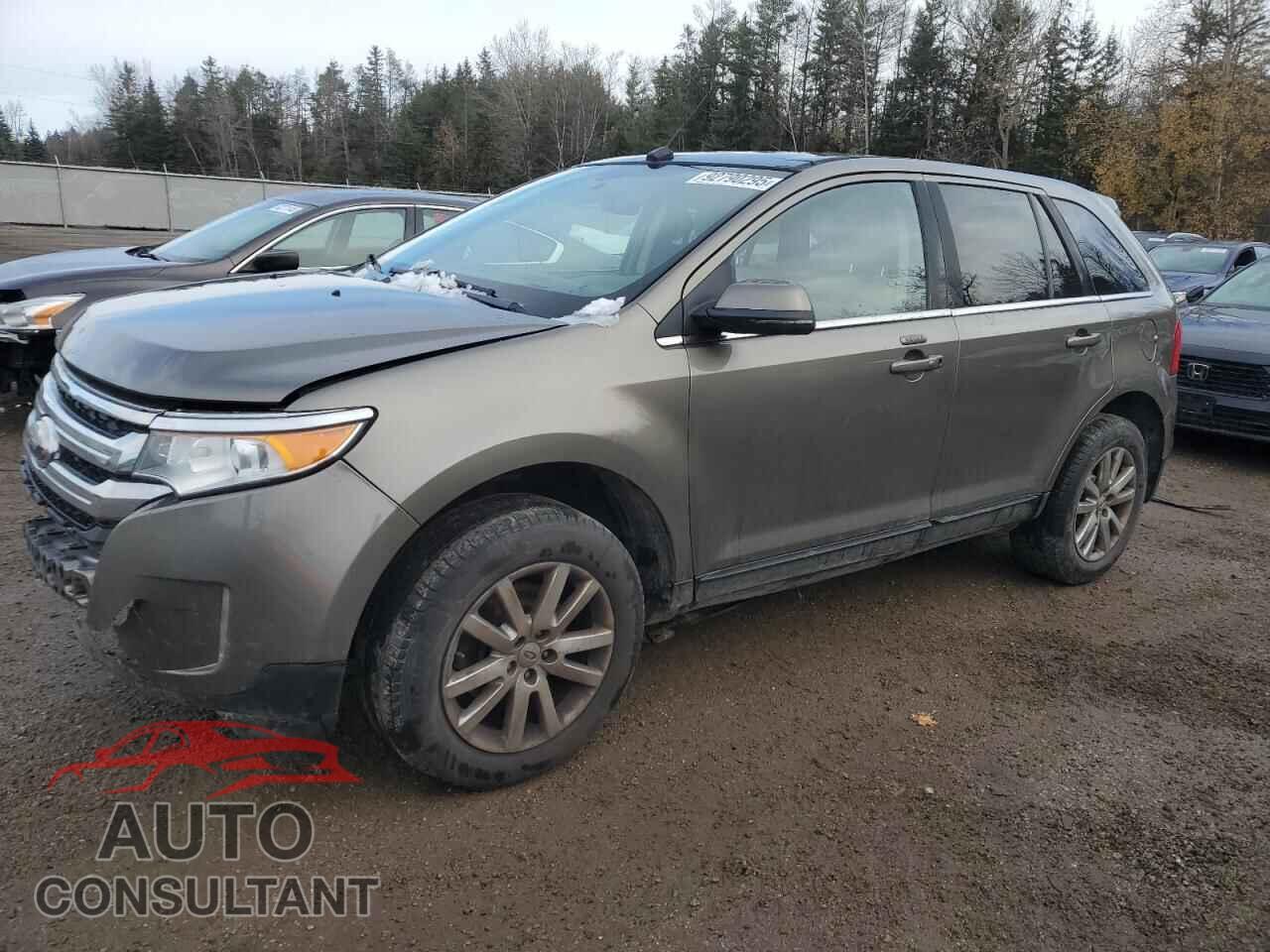 FORD EDGE 2013 - 2FMDK4KC9DBC35894