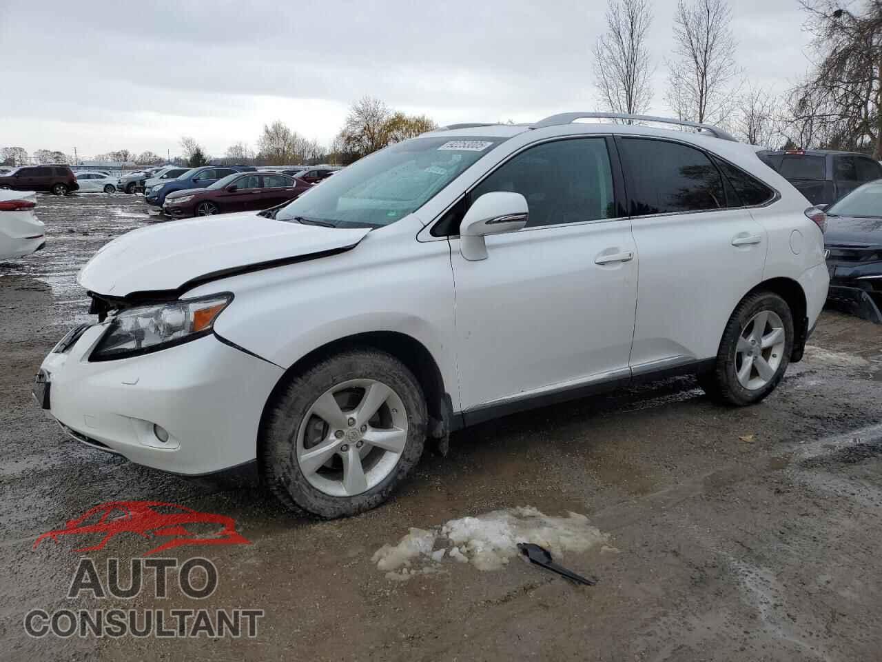 LEXUS RX350 2010 - 2T2BK1BA2AC045555
