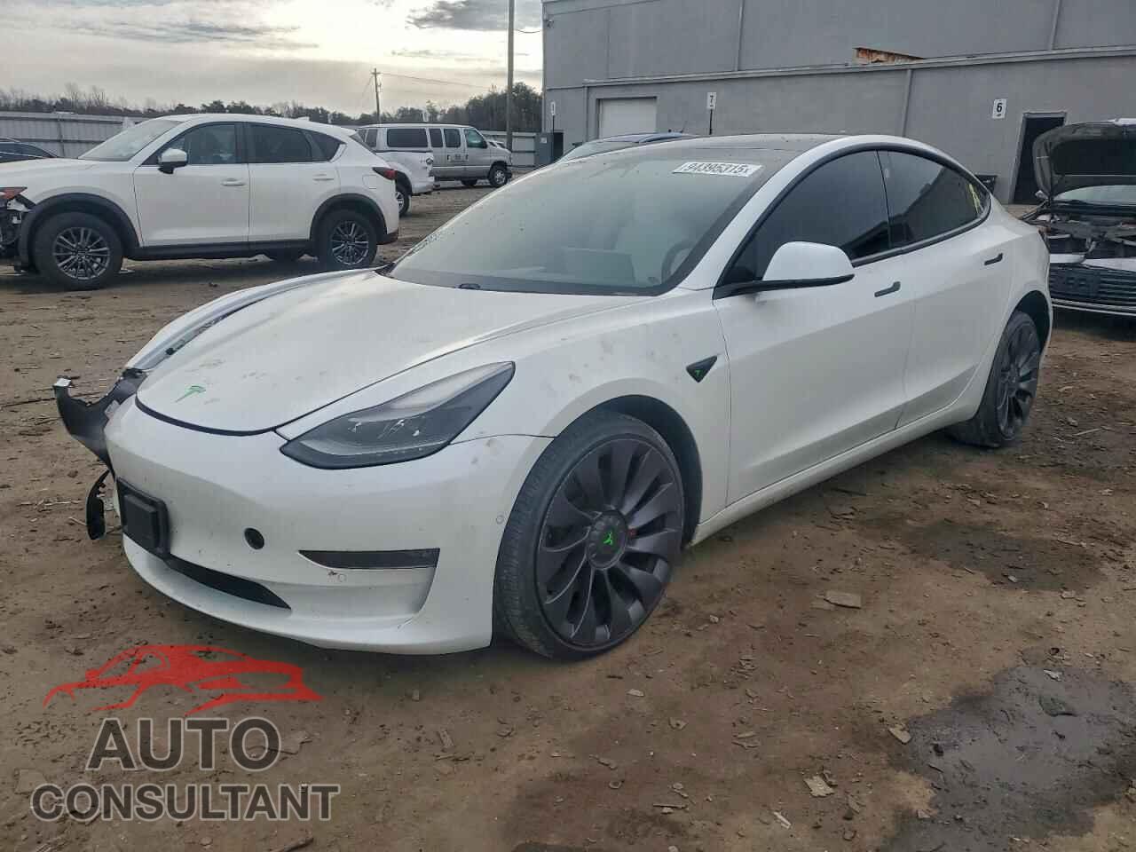 TESLA MODEL 3 2021 - 5YJ3E1EC7MF980941