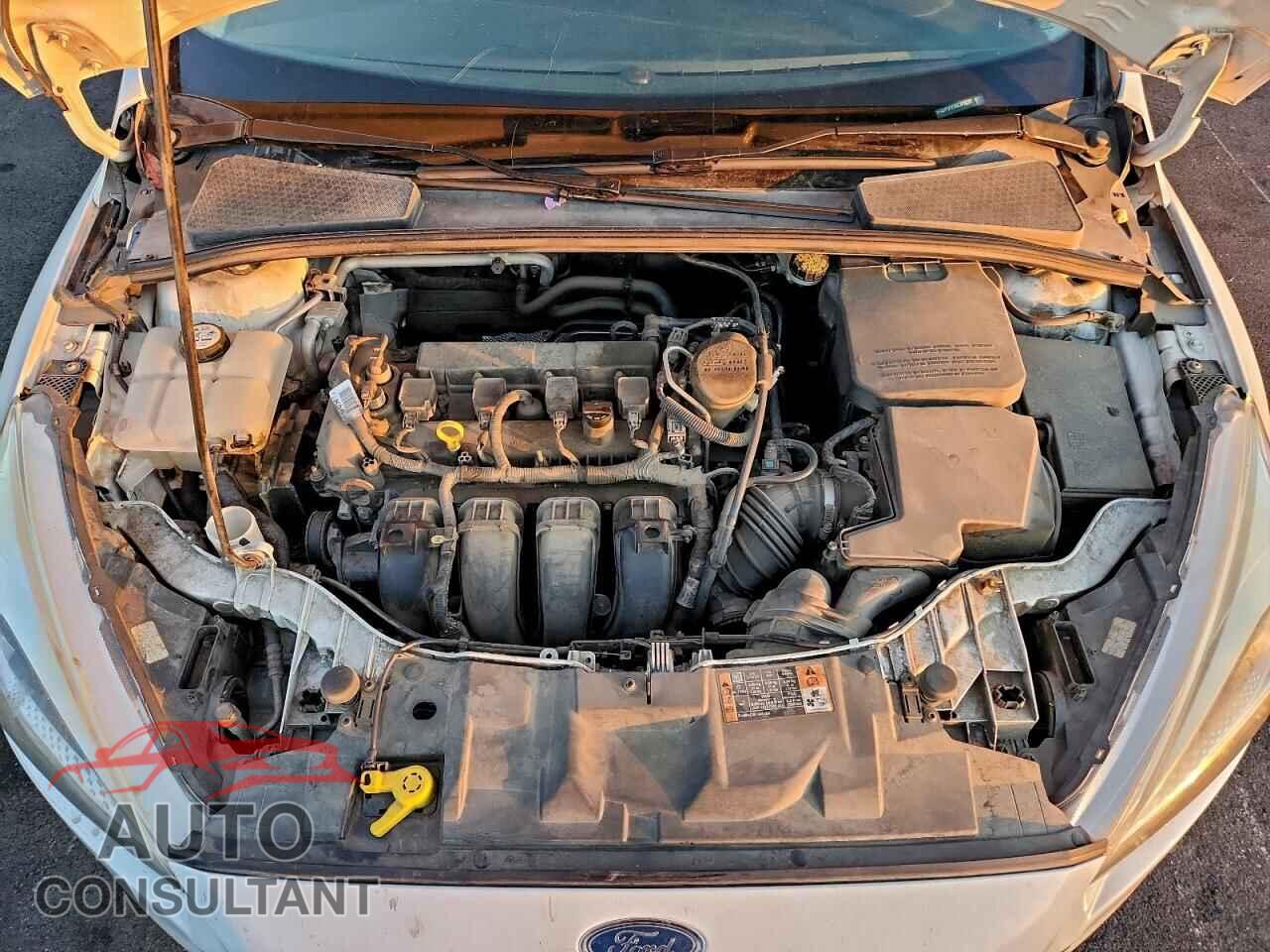 FORD FOCUS 2016 - 1FADP3F2XGL272237