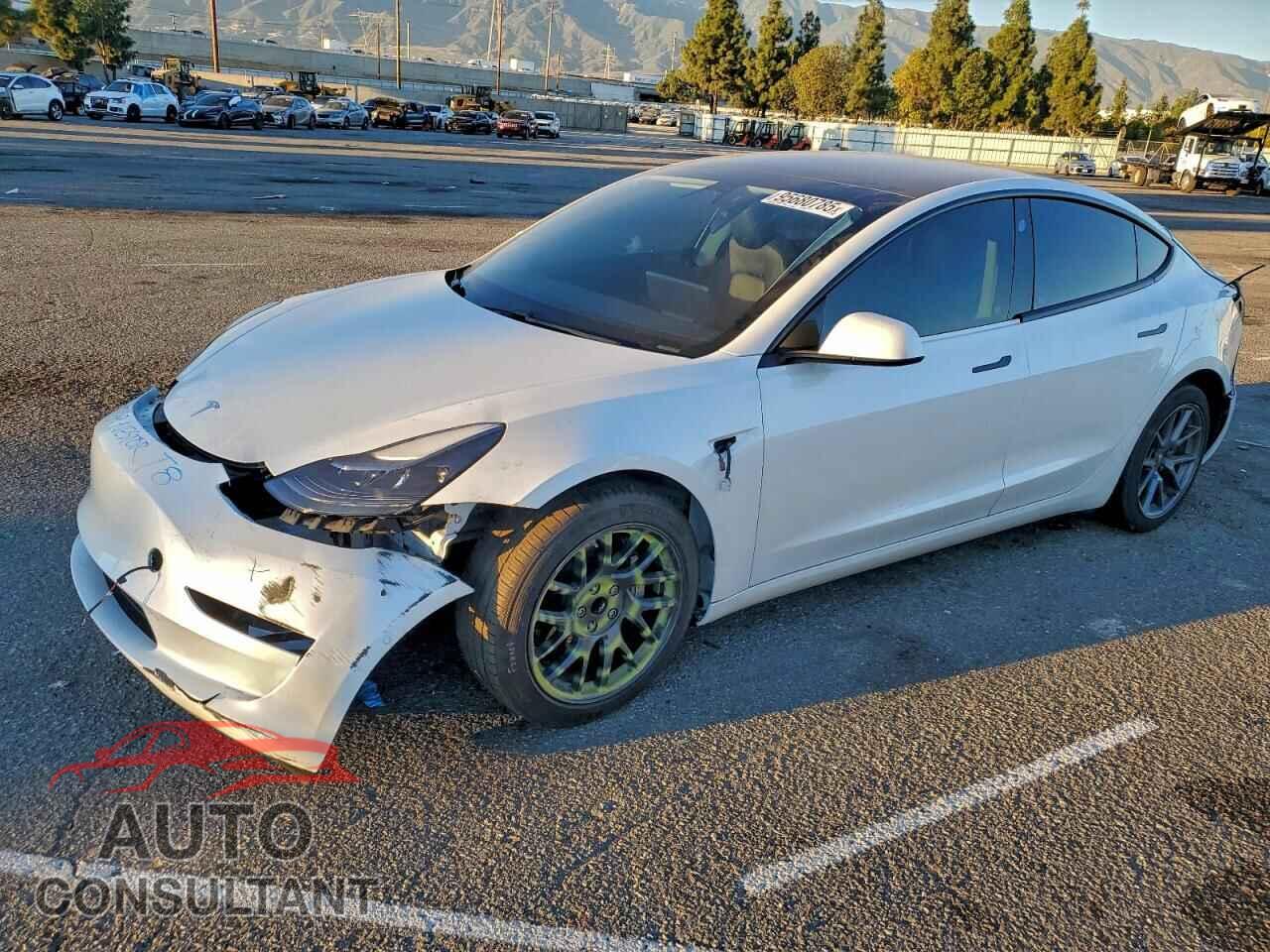 TESLA MODEL 3 2021 - 5YJ3E1EA2MF874086