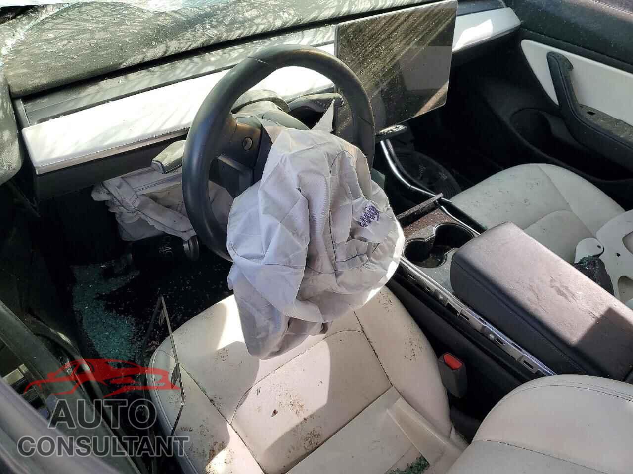 TESLA MODEL 3 2019 - 5YJ3E1EB2KF390988