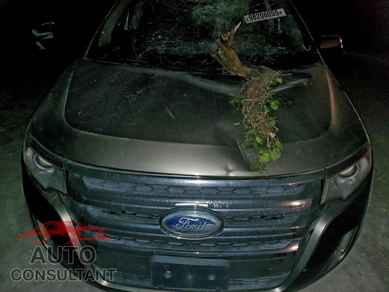 FORD EDGE 2014 - 2FMDK4KC2EBA26790