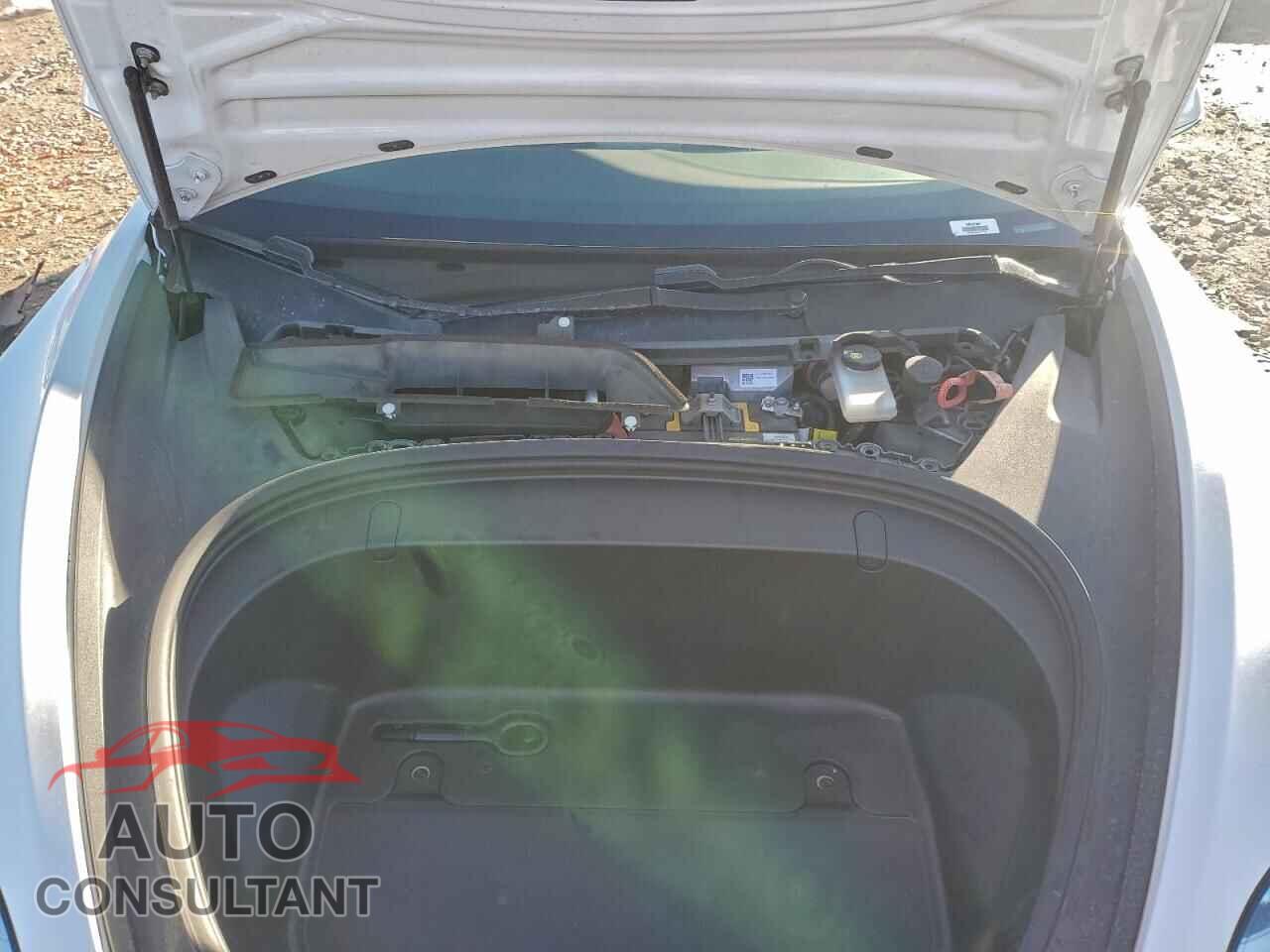 TESLA MODEL 3 2019 - 5YJ3E1EA1KF485209
