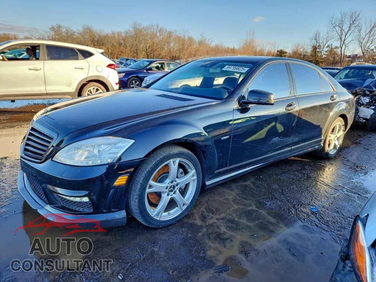 MERCEDES-BENZ S-CLASS 2012 - WDDNG8DB0CA423161