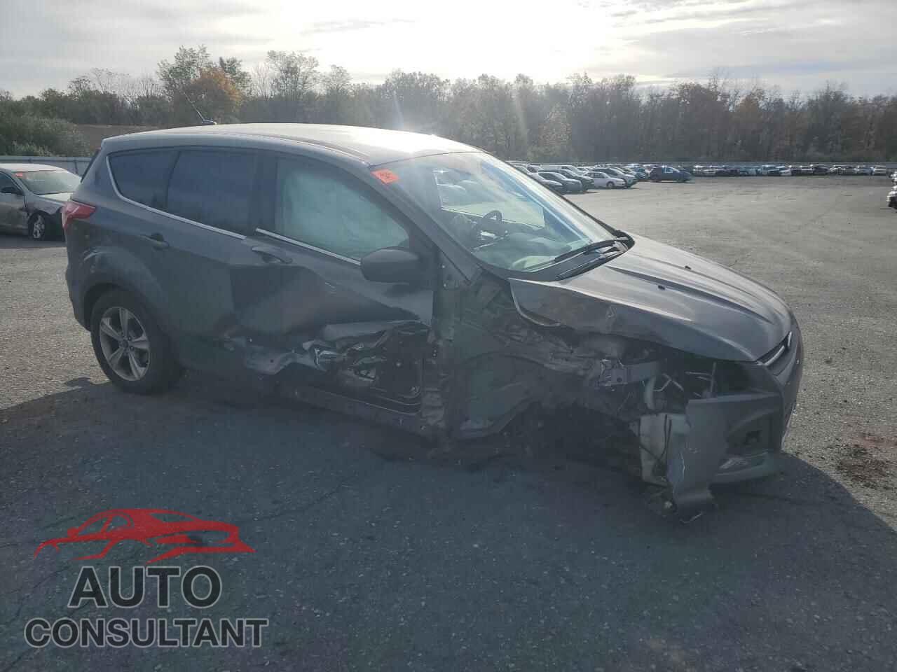 FORD ESCAPE 2014 - 1FMCU0GX5EUE06145