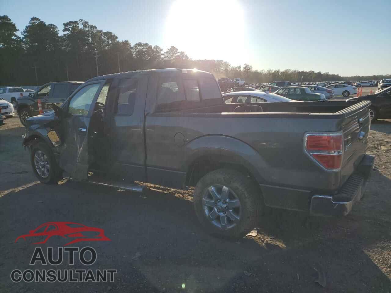 FORD F-150 2013 - 1FTFX1CFXDKD20013