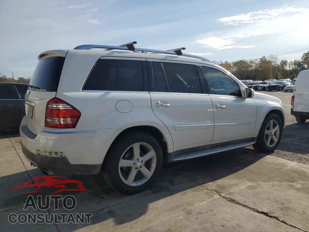 MERCEDES-BENZ GL-CLASS 2009 - 4JGBF71E69A525979