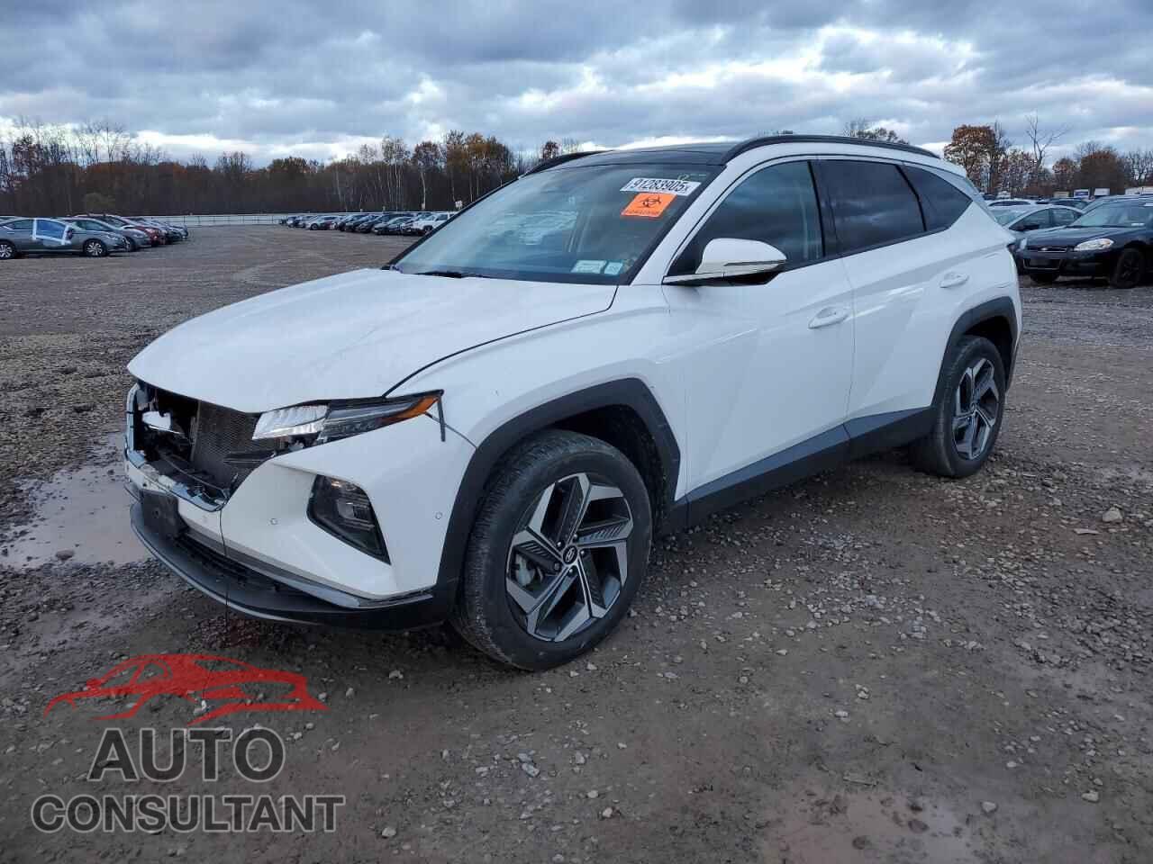 HYUNDAI TUCSON 2023 - 5NMJECAE7PH179357
