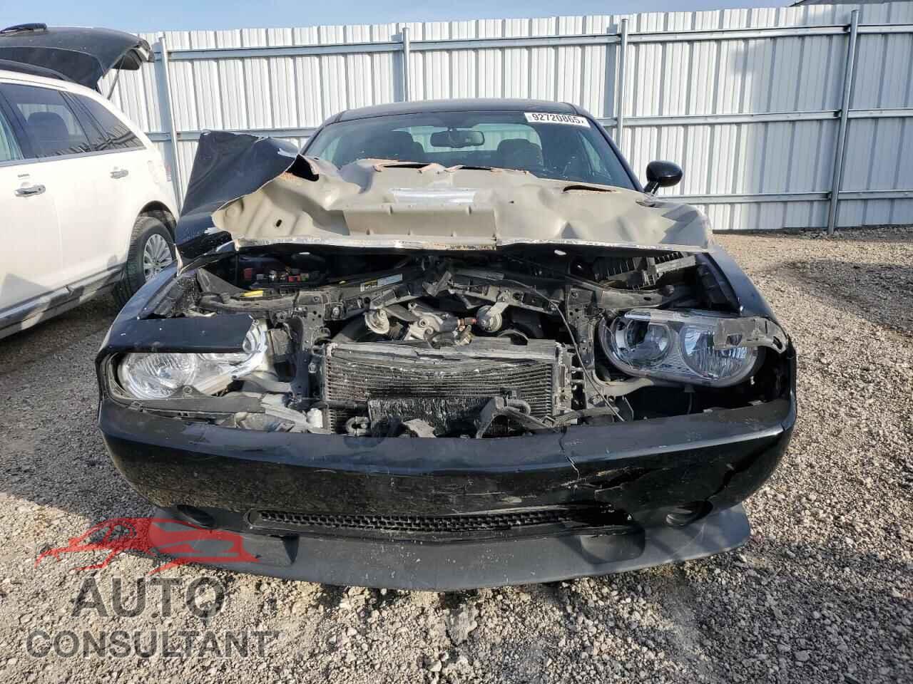 DODGE CHALLENGER 2014 - 2C3CDYDJ2EH183248