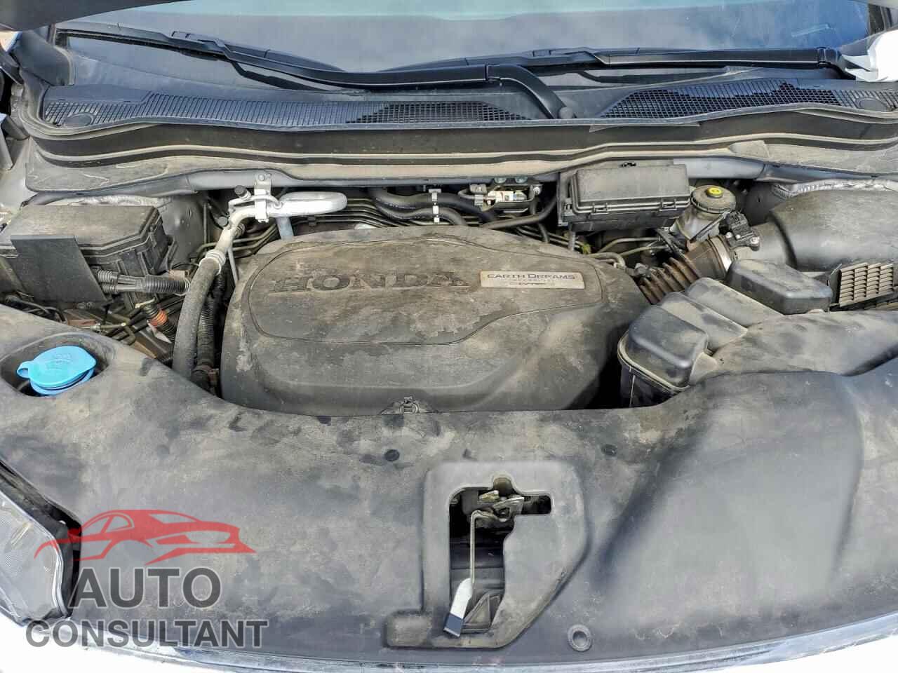 HONDA PILOT 2019 - 5FNYF5H55KB044143