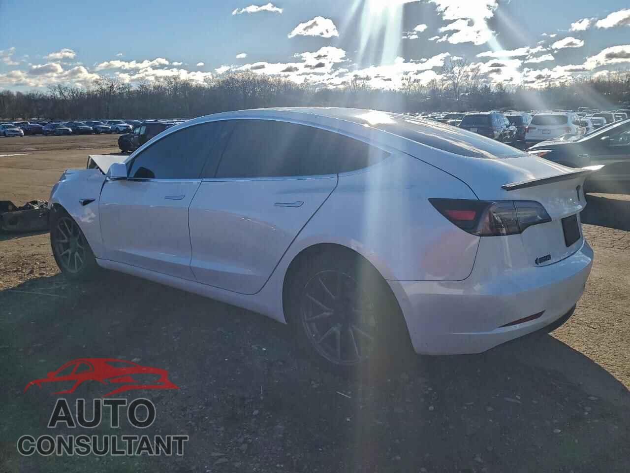 TESLA MODEL 3 2019 - 5YJ3E1EB9KF213595