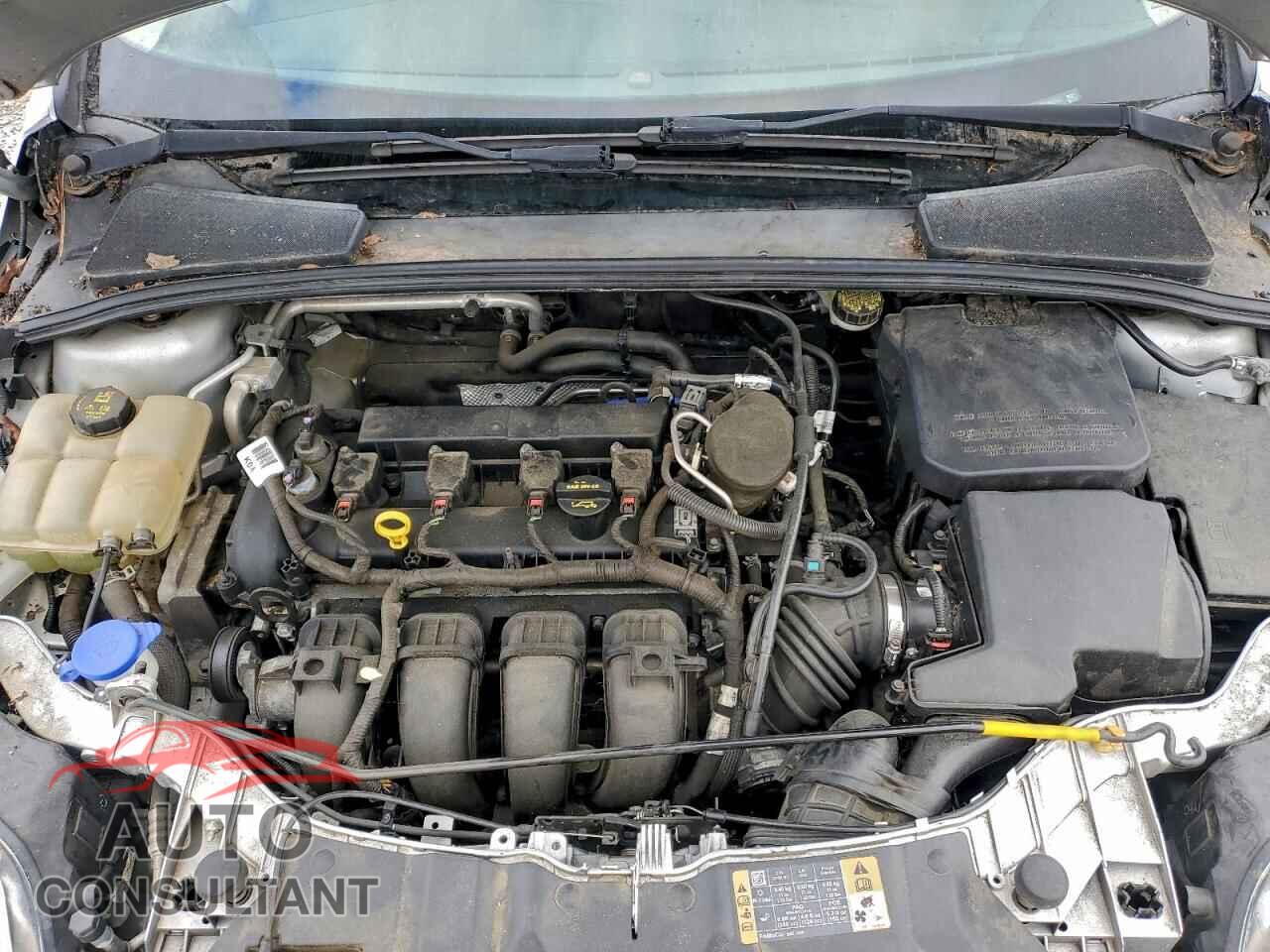 FORD FOCUS 2014 - 1FADP3F2XEL369192