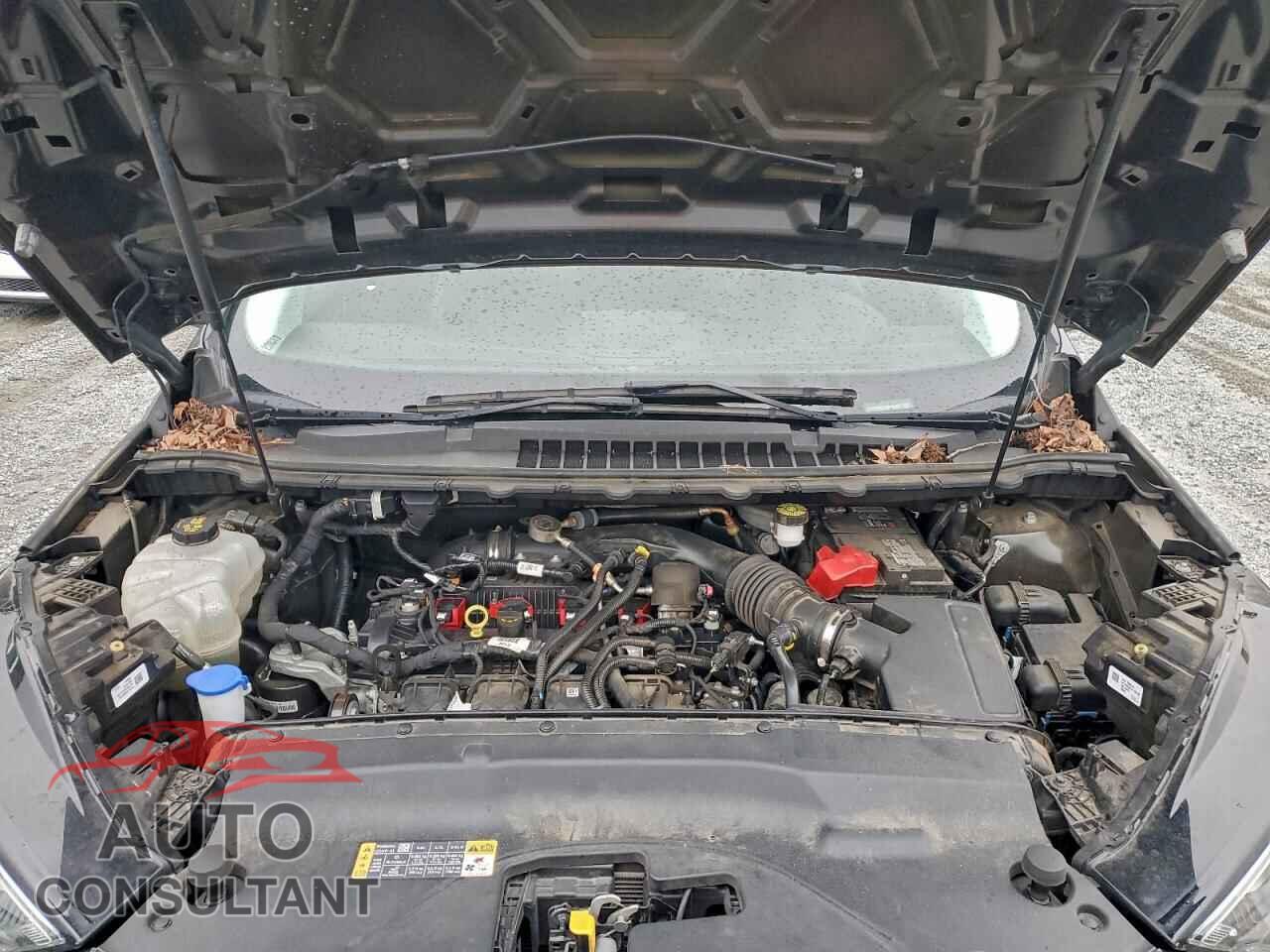 FORD EDGE 2020 - 2FMPK3K91LBB35119