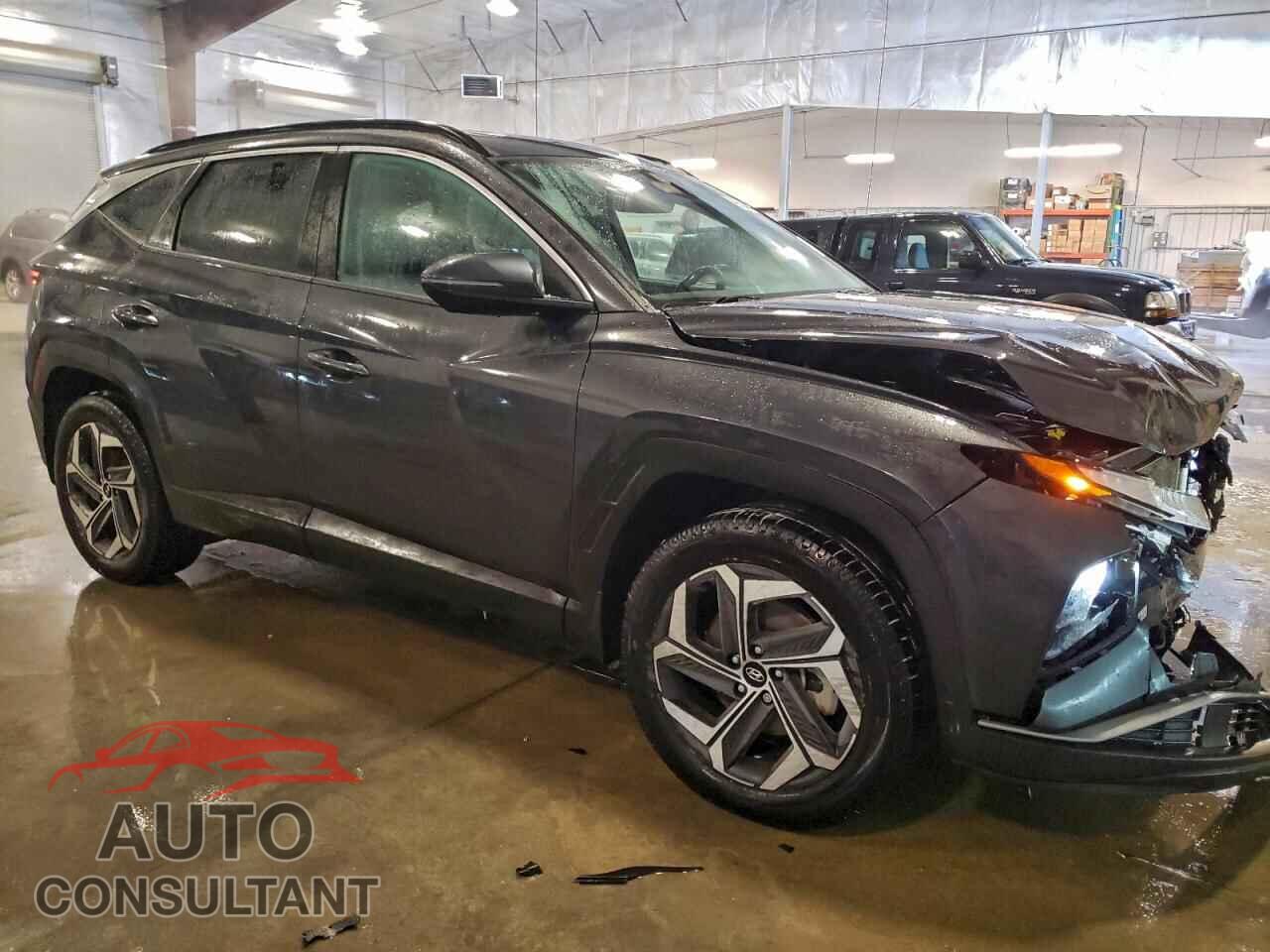 HYUNDAI TUCSON 2023 - 5NMJFCAE4PH194220