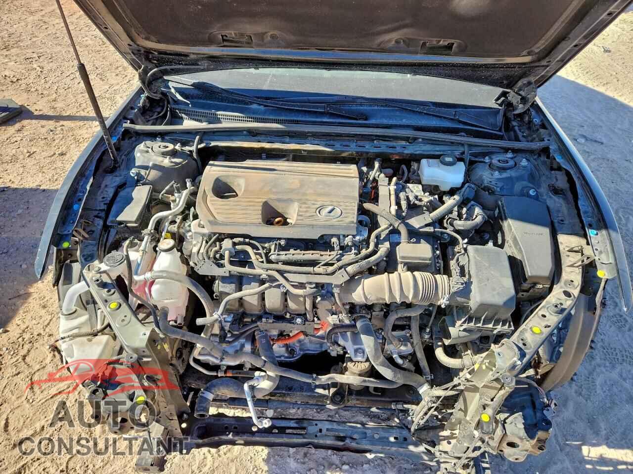 LEXUS ES300 2024 - 58AEA1C19RU049611