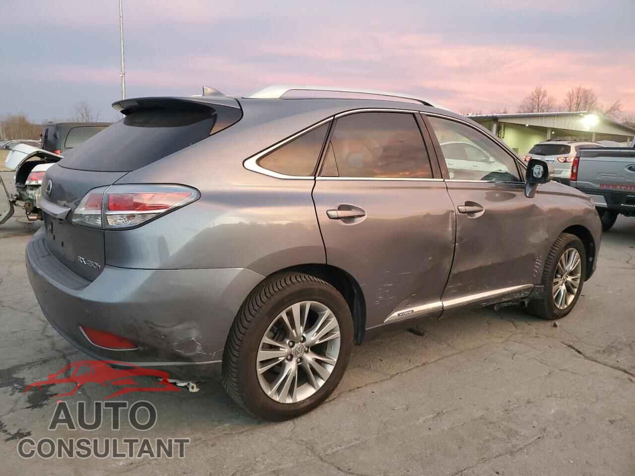LEXUS RX450 2014 - JTJBC1BA4E2067463
