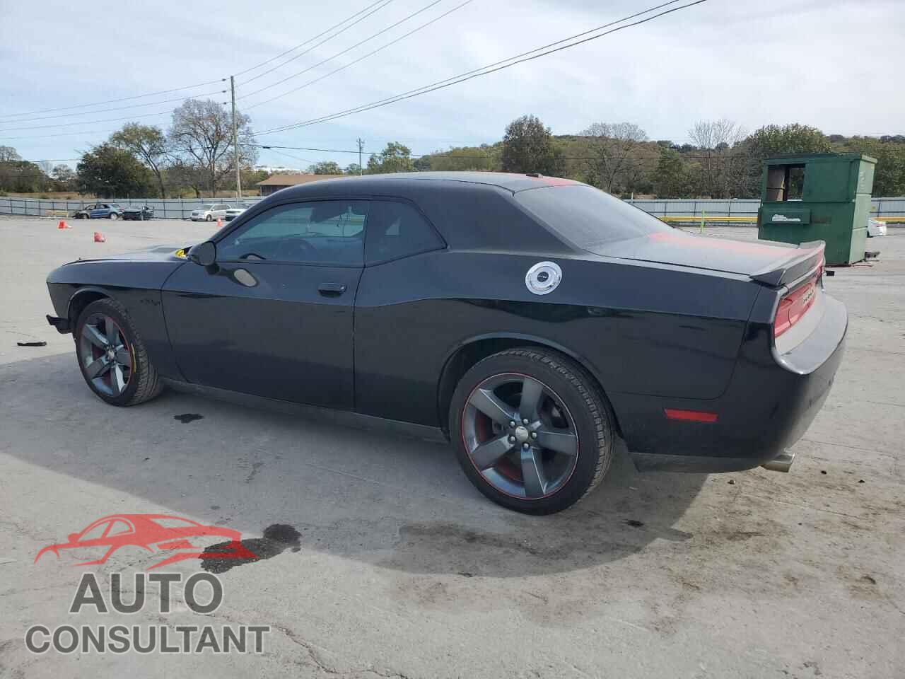 DODGE CHALLENGER 2013 - 2C3CDYAG4DH591435
