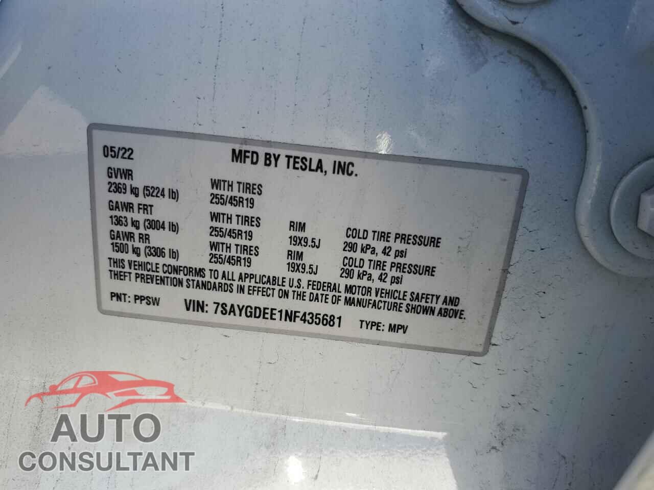 TESLA MODEL Y 2022 - 7SAYGDEE1NF435681