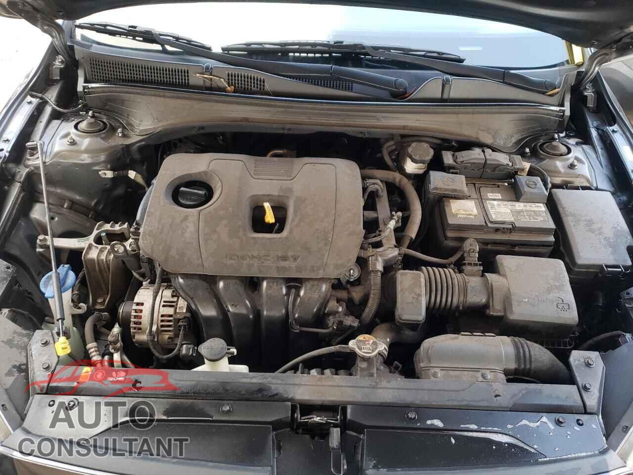KIA FORTE 2019 - 3KPF24AD2KE128344