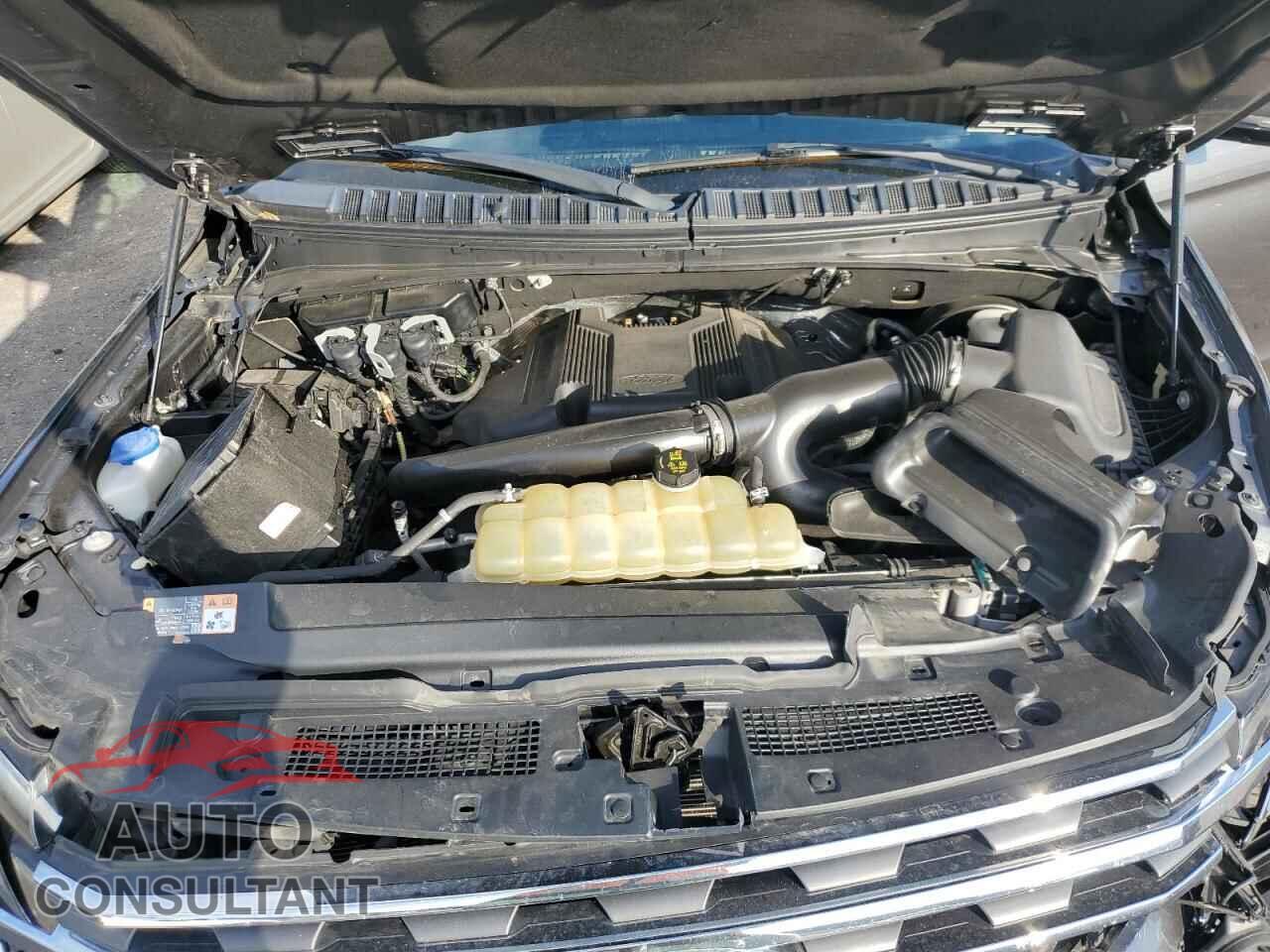 FORD EXPEDITION 2020 - 1FMJU1HT8LEA14647