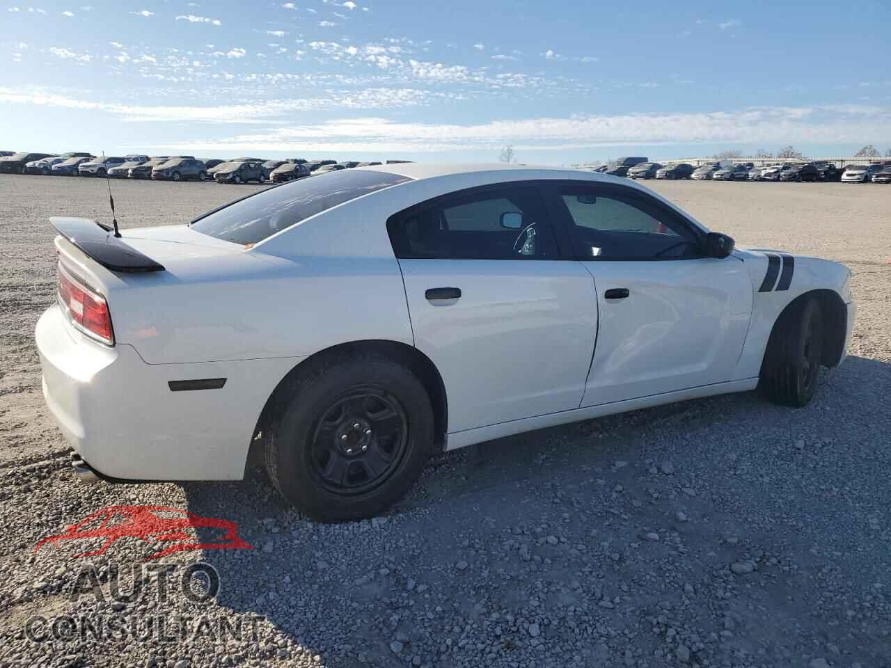 DODGE CHARGER 2013 - 2C3CDXAG8DH554687