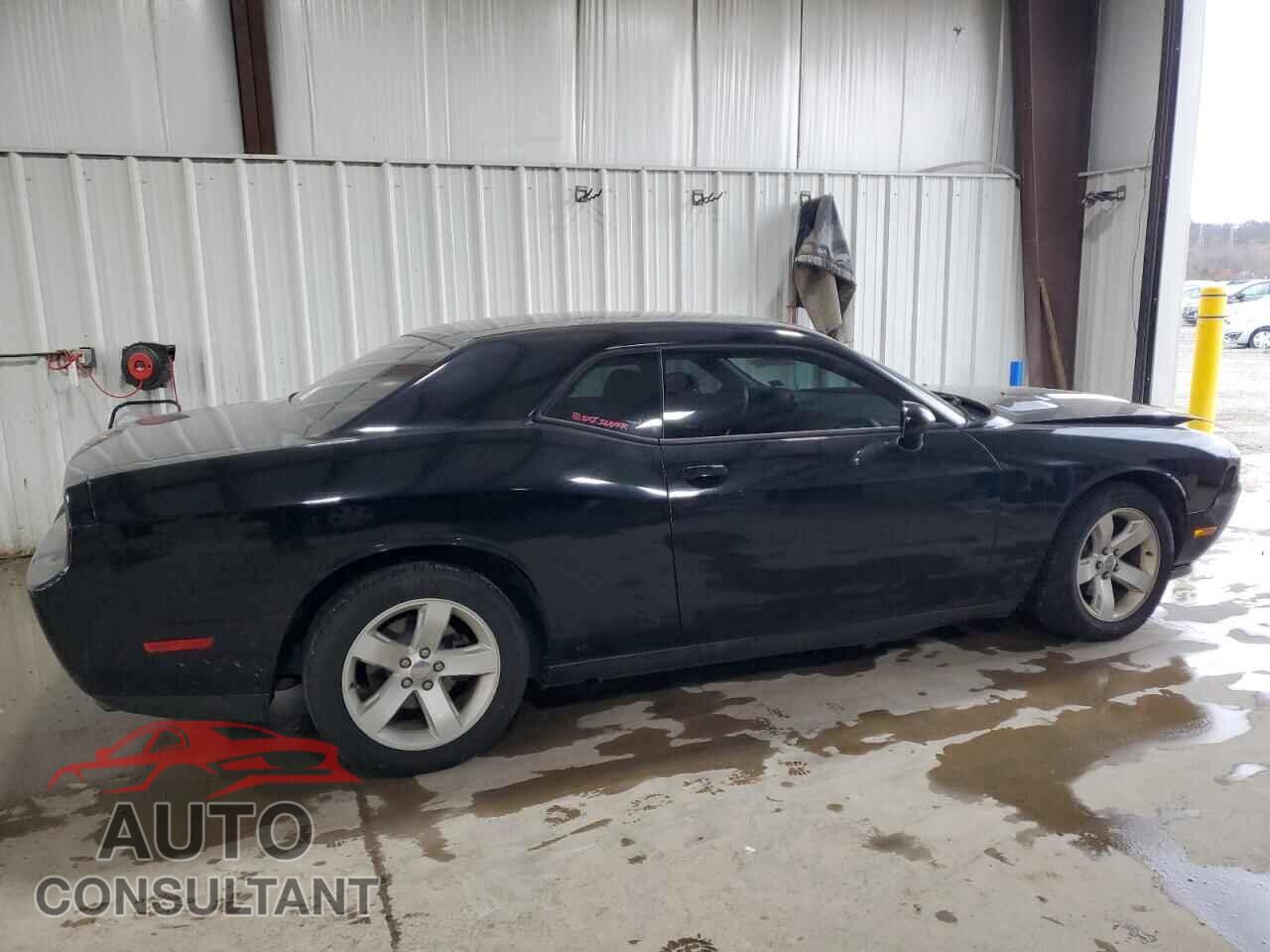 DODGE CHALLENGER 2013 - 2C3CDYAG3DH500560