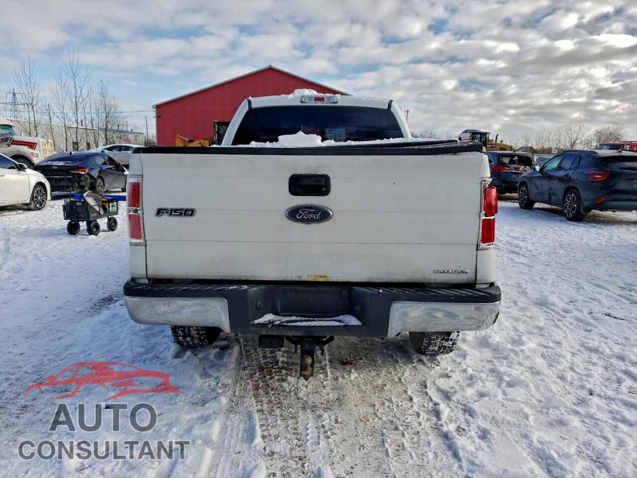 FORD F-150 2013 - 1FTFW1EF5DFD28013